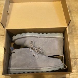 BearPaw suede Chukka boots in great condition, with box.
